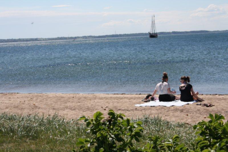 Hotel Rosenvold Strand Camping Stouby Exterior foto